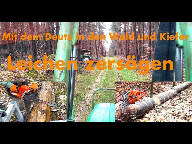 Mit dem Deutz in den Wald und Kiefer Leichen zerlegen