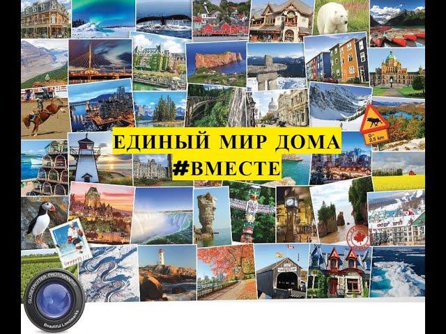 Единый мир дома #ВМЕСТЕ / Жестовое пение