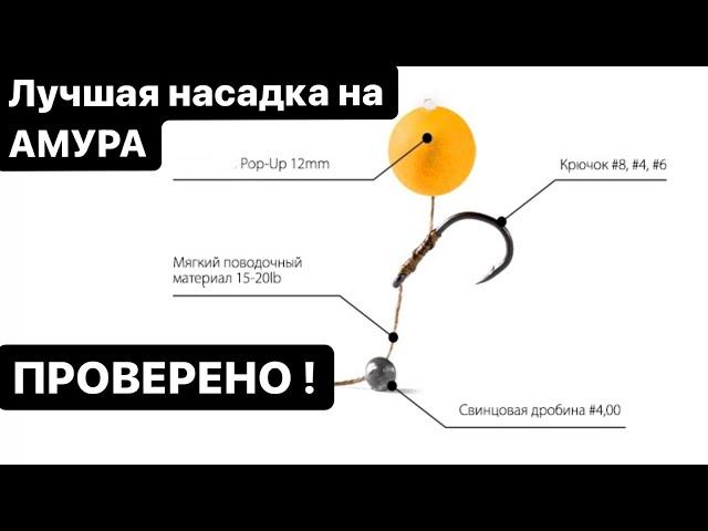 Лучший поводок на Амура, монтаж за 2 минуты