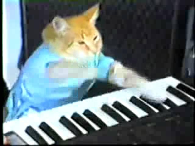 Play Her Off, Keyboard Cat