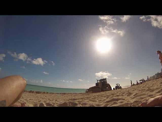 CATERPILLAR ON BEACH