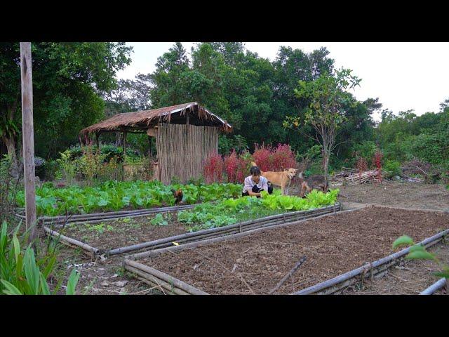 Gardening to grow more types of vegetables, Taking care of animals, Cooking delicious noodles