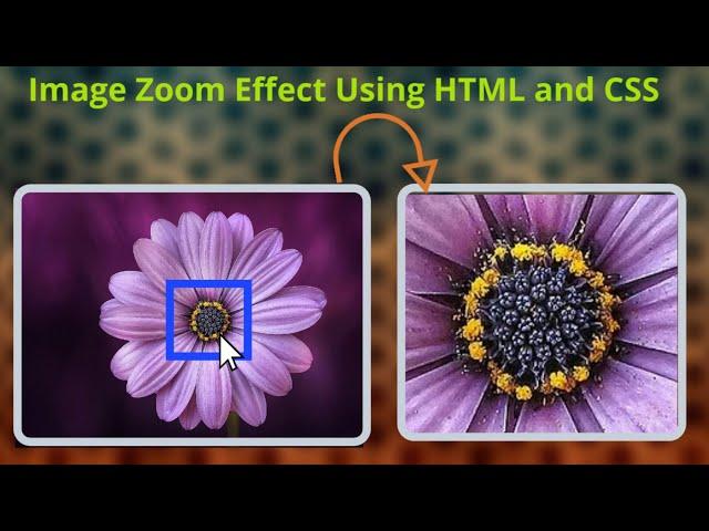 zoom image || mouse hover zoom effect using html and css || CSS || HTML || future exam