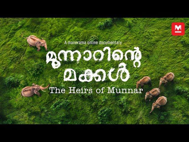 ആനകൾ ഇല്ലാത്ത മൂന്നാറിൽ മനുഷ്യർക്ക് ജീവിക്കാനാകുമോ? | Munnar: The world of elephants