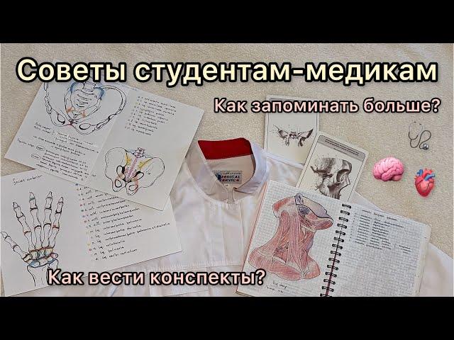 Cоветы студентам-медикам: как складывать халат, вести конспекты и запоминать больше