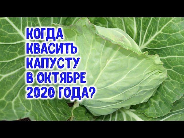 Когда квасить капусту в октябре 2020 года?