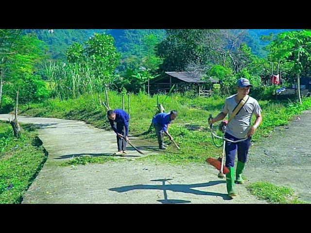 Journey of joining hands to help villagers clean up weeds on the village roads.Pick papaya to sell