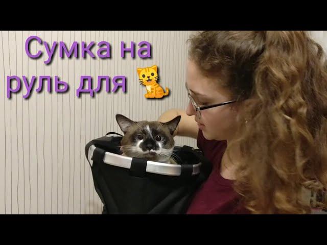 Сумка на руль для кота.