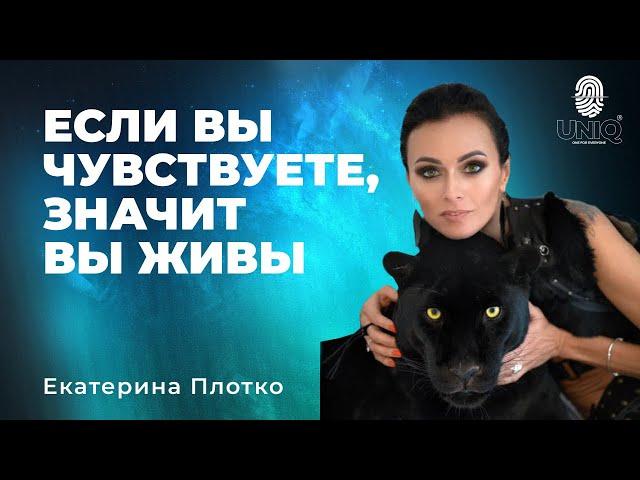 Екатерина Плотко 1-3 декабря UniQ 2023