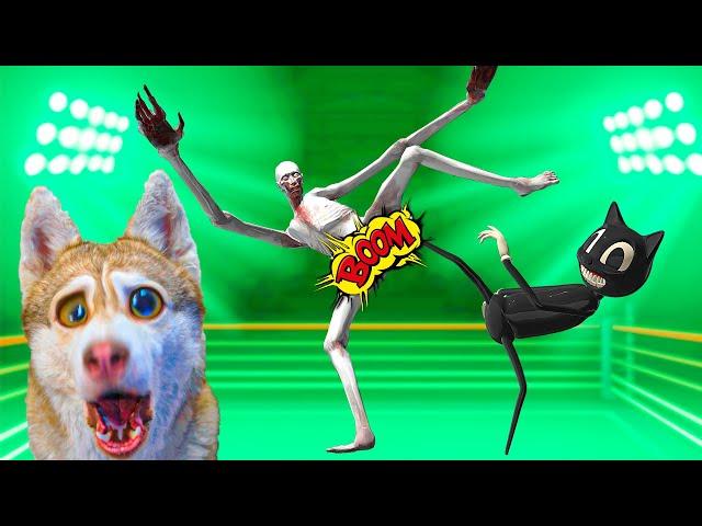 СКРОМНИК SCP ПРОТИВ CARTOON CAT!! НАША КВАРТИРА   АНОМАЛИЯ! (Хаски Бублик) Говорящая собака