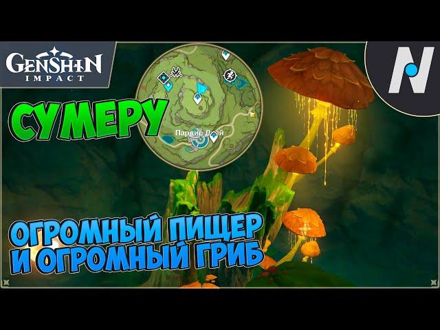 Самая большая пещера Сумеру - как открыть | Genshin Impact