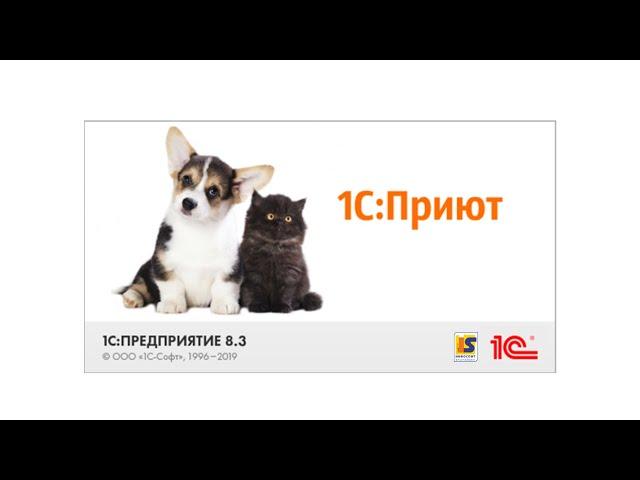 1С:Приют - программный продукт для учета домашних животных. Обзор демоверсии