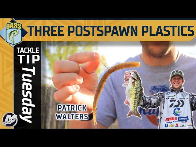 Three sure-fire post spawn soft plastics with Patrick Walters (SUCCESSFUL BASS FISHING)