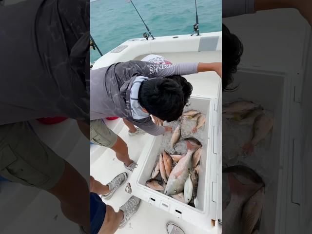 I Went Fishing In Key West  #fypシ゚ #vlog #fishing #keywest #florida #travel #viral