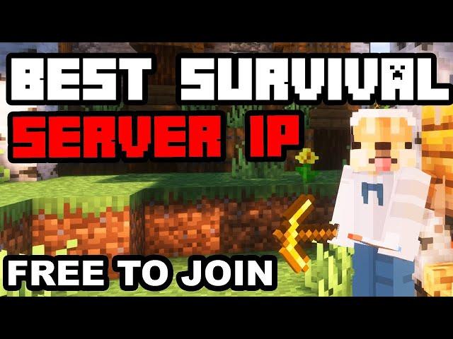 Best Minecraft SURVIVAL Server to Join in 2024 (1.21)