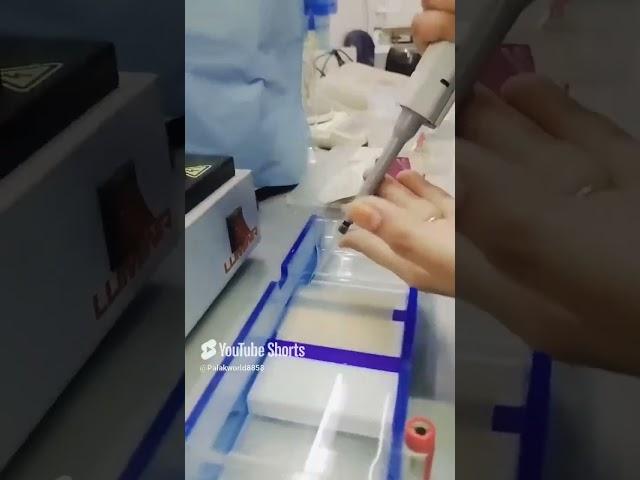 DNA  isolation #elctrophoresis#lifeofpalvik #biotechnologystudent