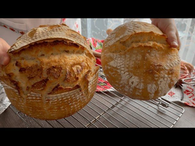 Why the sourdough bread does not rise and open nicely? What is hidden behind sourdough baking.