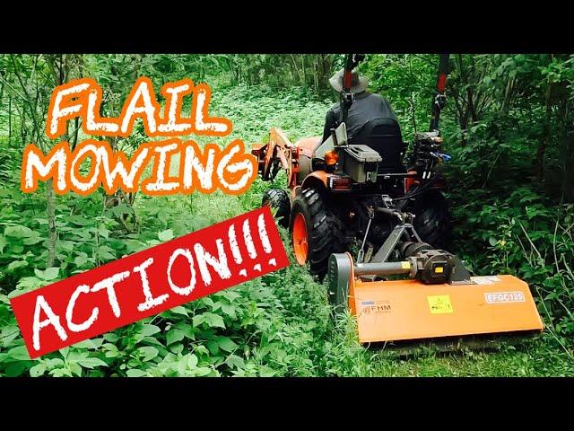 Betstco Flail Mower Action!!!