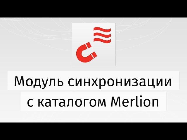 Демонстрация работы модуля «Интеграция с Merlion»