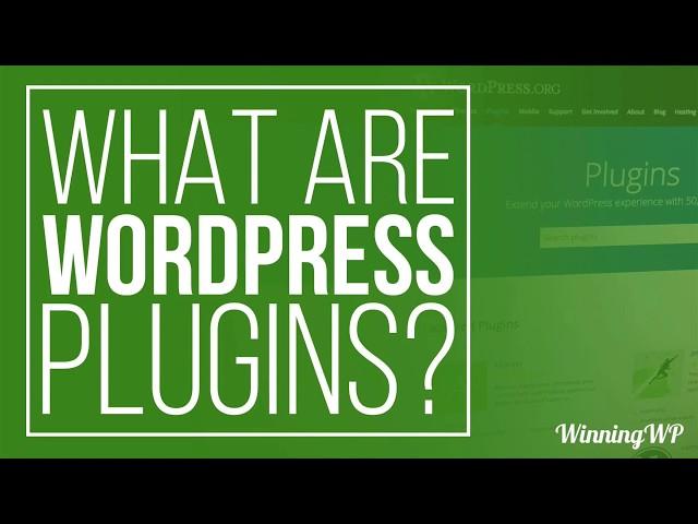 What Are WordPress Plugins - And How To Use Them?