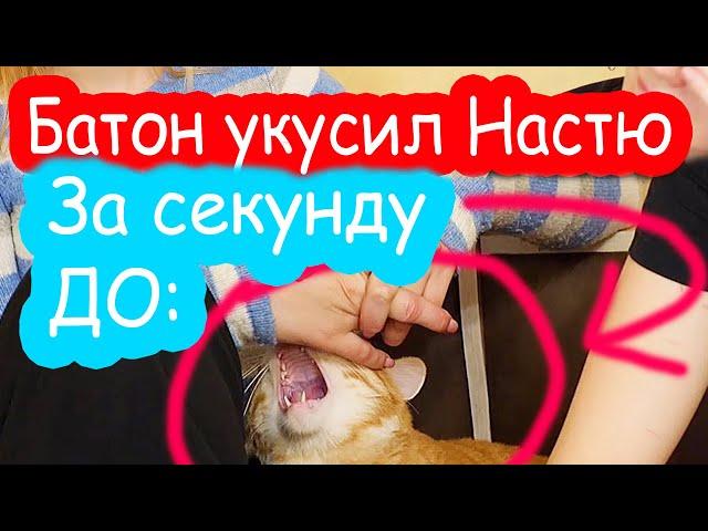 VLOG Катя упала с велосипеда