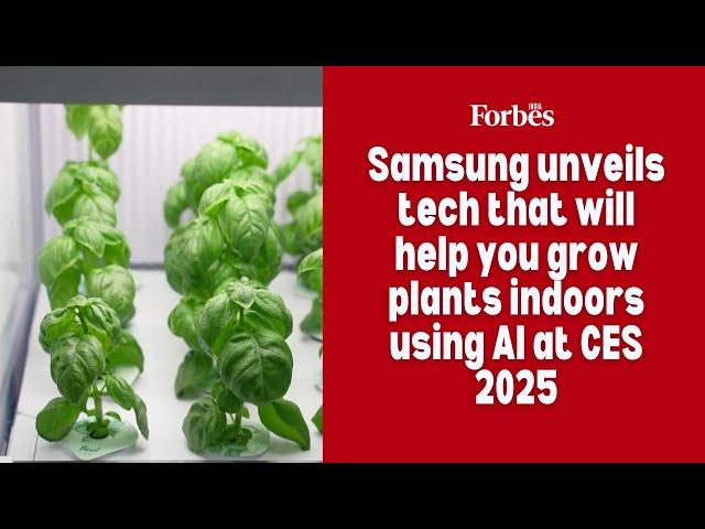 Samsung unveils tech that will help you grow plants indoors using AI at CES 2025