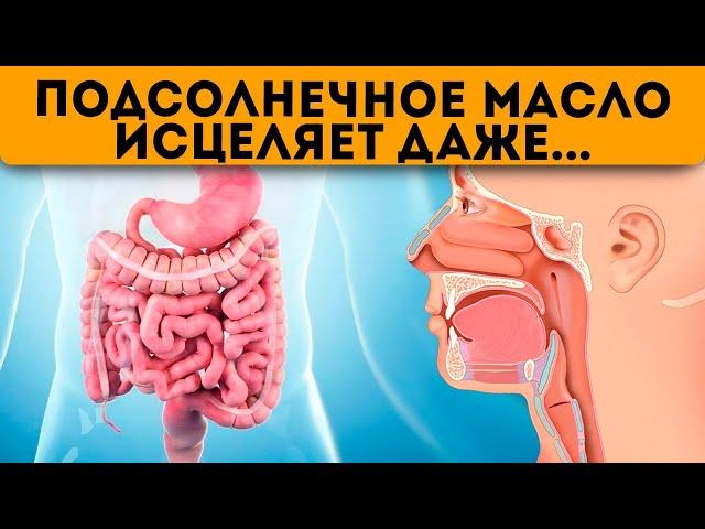 Многие не знают, а зря! 10 проблем, которые решает только подсолнечное масло