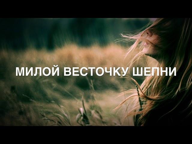 ты неси меня, река текст