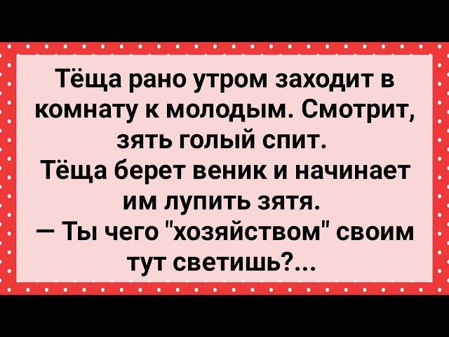 Теща Веником Отлупила Голого Зятя! Сборник Свежих Анекдотов! Юмор!