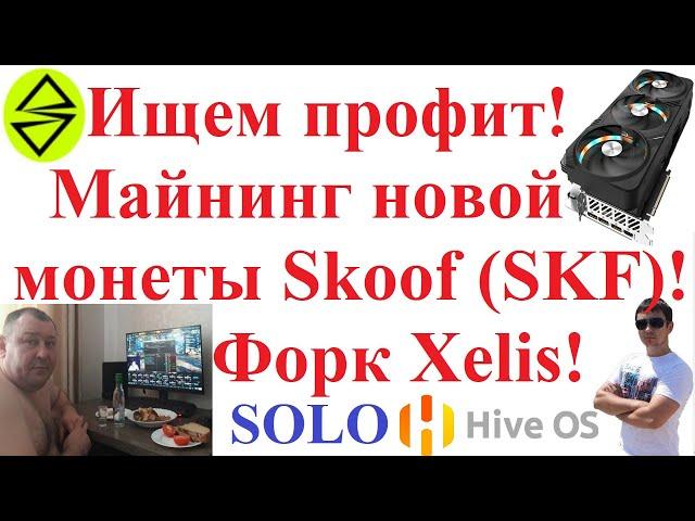 Ищем профит! Майнинг новой монеты SKOOF (SKF)! Форк Xelis!