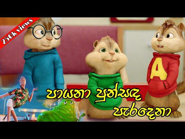 පායනා පුන්සඳ පැරදෙනා - payana punsada paradena remix | Chipmunks version song | Himabole Studio