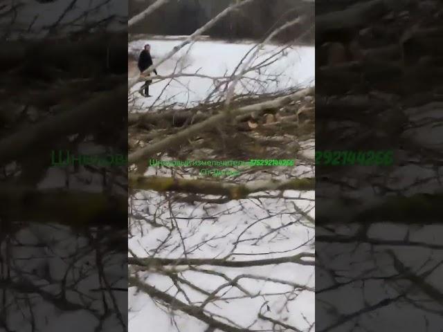 шнековый измельчитель древесины #щепорез#веткорез#измельчительветок#gardenshredder#дигриз