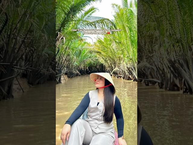 Mekong Delta River.. #mekongriver #mekongdeltavietnam #vietnam #shorts #shortvideo