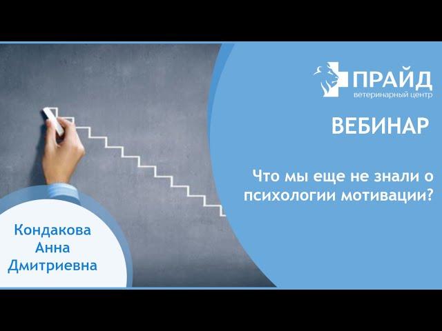 Что мы не знали о психологии мотивации?