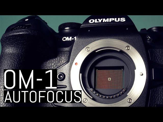 OM System OM-1 – Autofocus Expert Guide