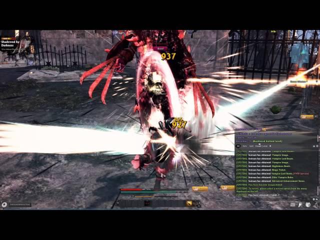 Vindictus - Level 48 Delia - Hard Blood Lord - Solo - No Healing or Transformation