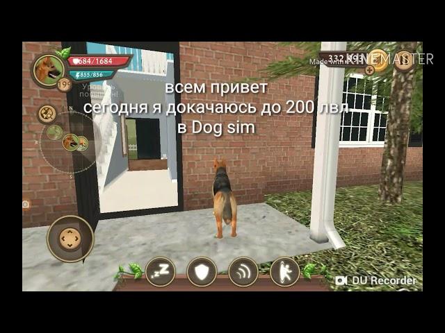 Качаюсь до 200 лвл в Dog sim