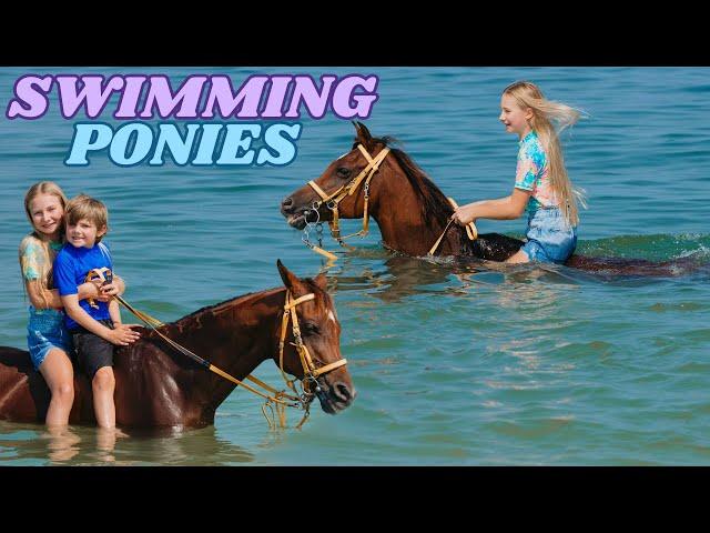 WE WENT SWIMMING WITH HORSES IN DUBAI!