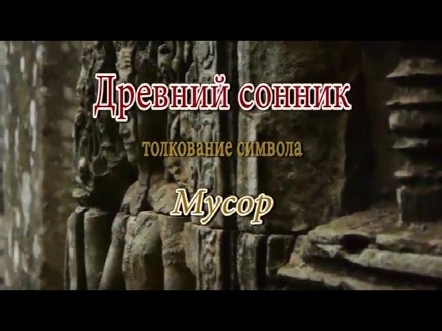 К чему снится Мусор сонник, толкование сна