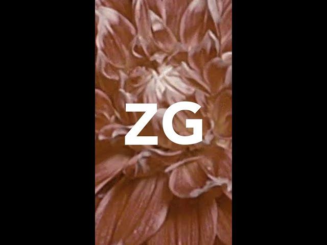 Ombre by ZG