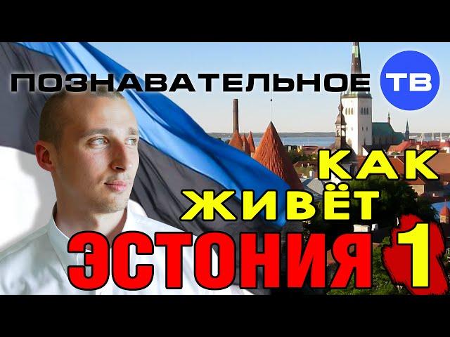 Как живёт Эстония 1 (Познавательное ТВ, Александр Румянцев)