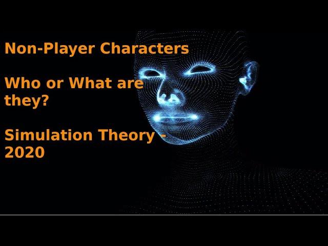 Who or What are the NPC's or, non-player characters, in this simulation? - Simulation Theory