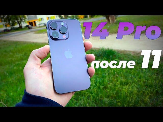 ПЕРЕШЁЛ с IPhone 11 на IPhone 14 Pro | МОИ ВПЕЧАТЛЕНИЯ