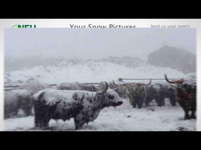 Farming delivers in the snow