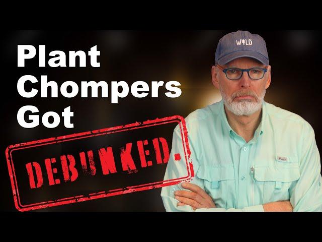 Professor Bart Kay thoroughly debunked Plant Chompers. Or did he?