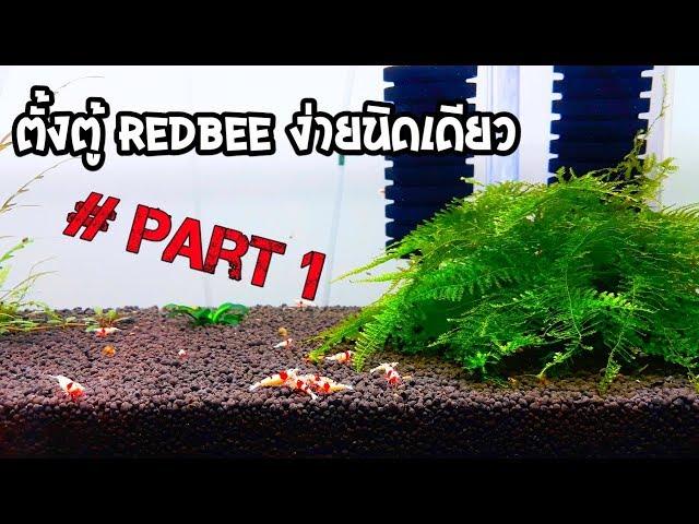 EP.3 ตั้งตู้ REDBEE ง่ายนิดเดียว #Part1