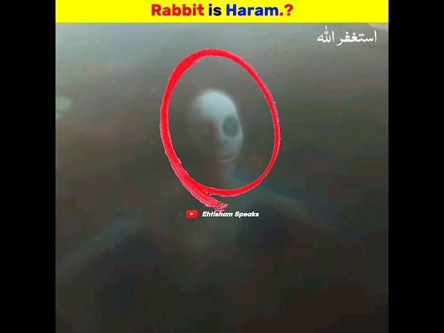 Rabbit is Haram.? | Ehtisham Speaks