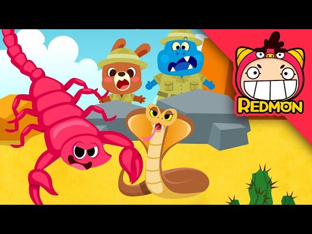 Venomous animal song | Animal songs | Nursery Rhymes | REDMON