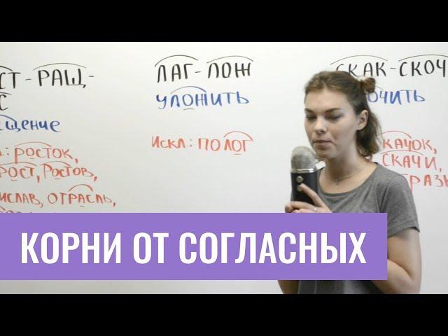 Корни от согласных