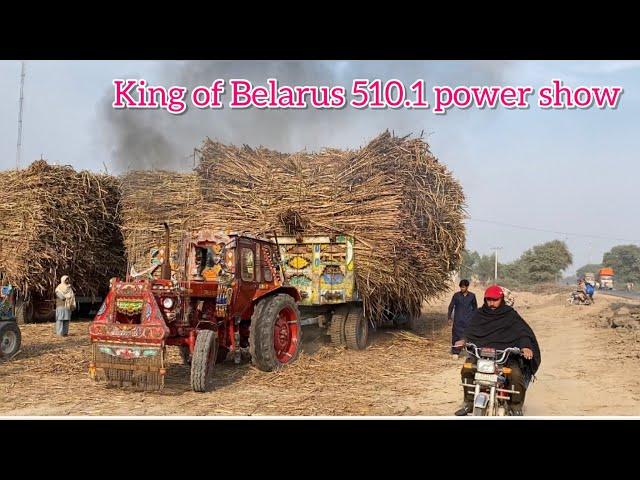 King of Belarus 510.1 power show Top Stunt Video Of Heavy Trailer Pulling 